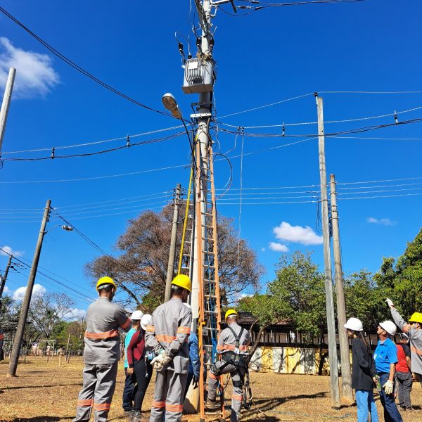 Treinamentos_4